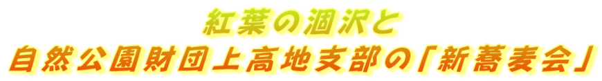 紅葉の涸沢と 自然公園財団上高地支部の「新蕎麦会」